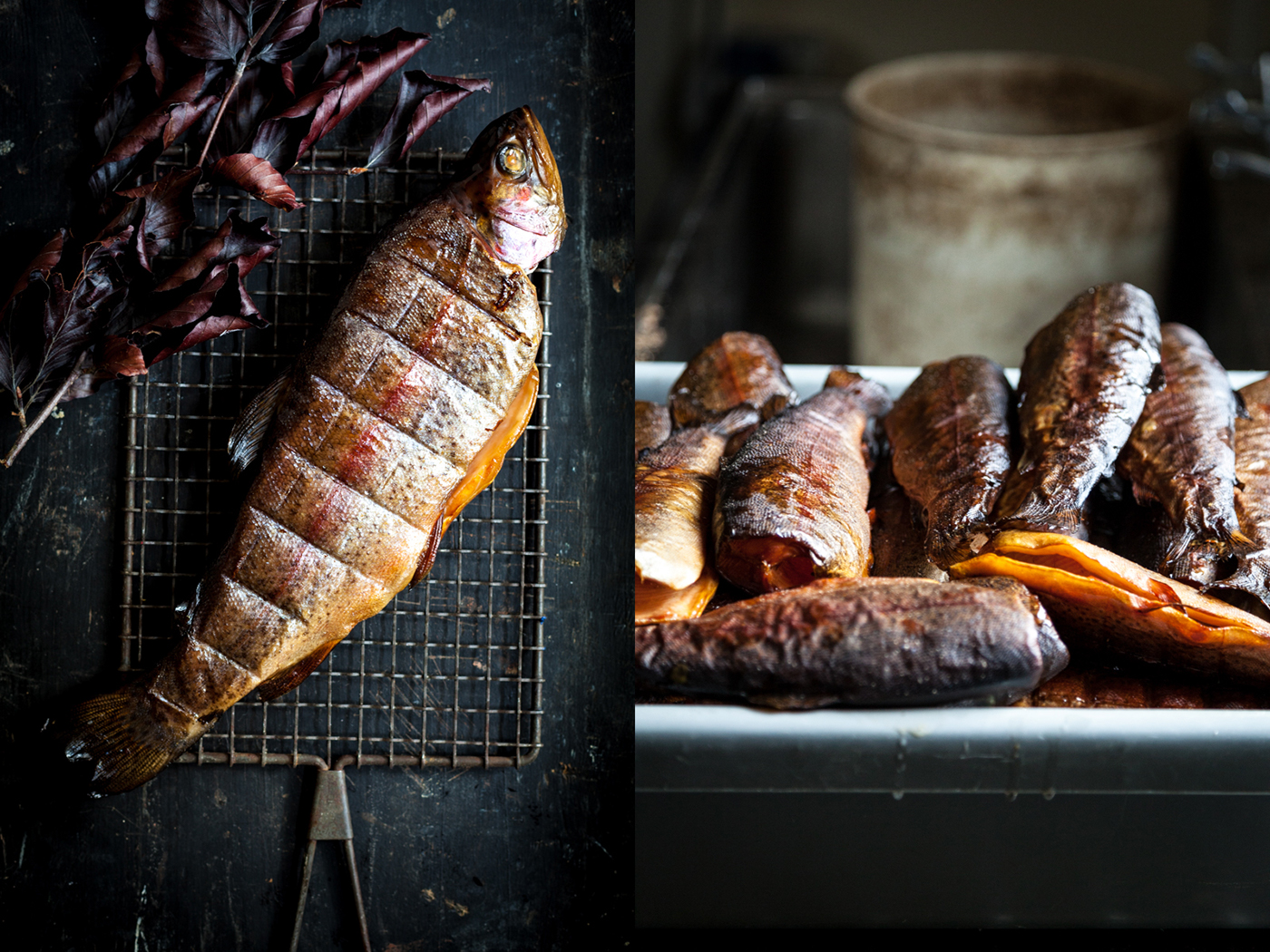 food photography food styling SMOKED FOOD Wild Food country food