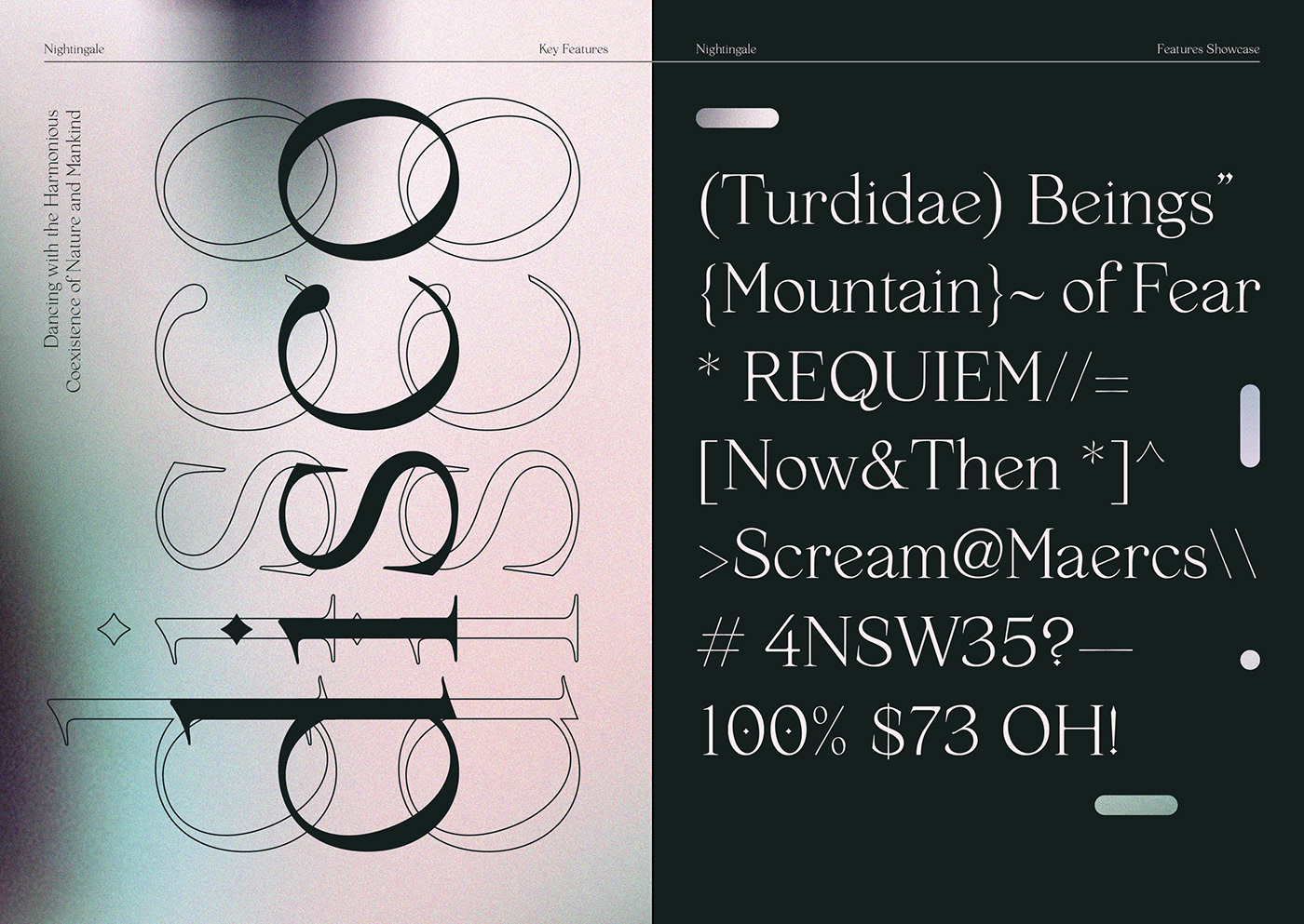 design modern old style serif type type design typography  