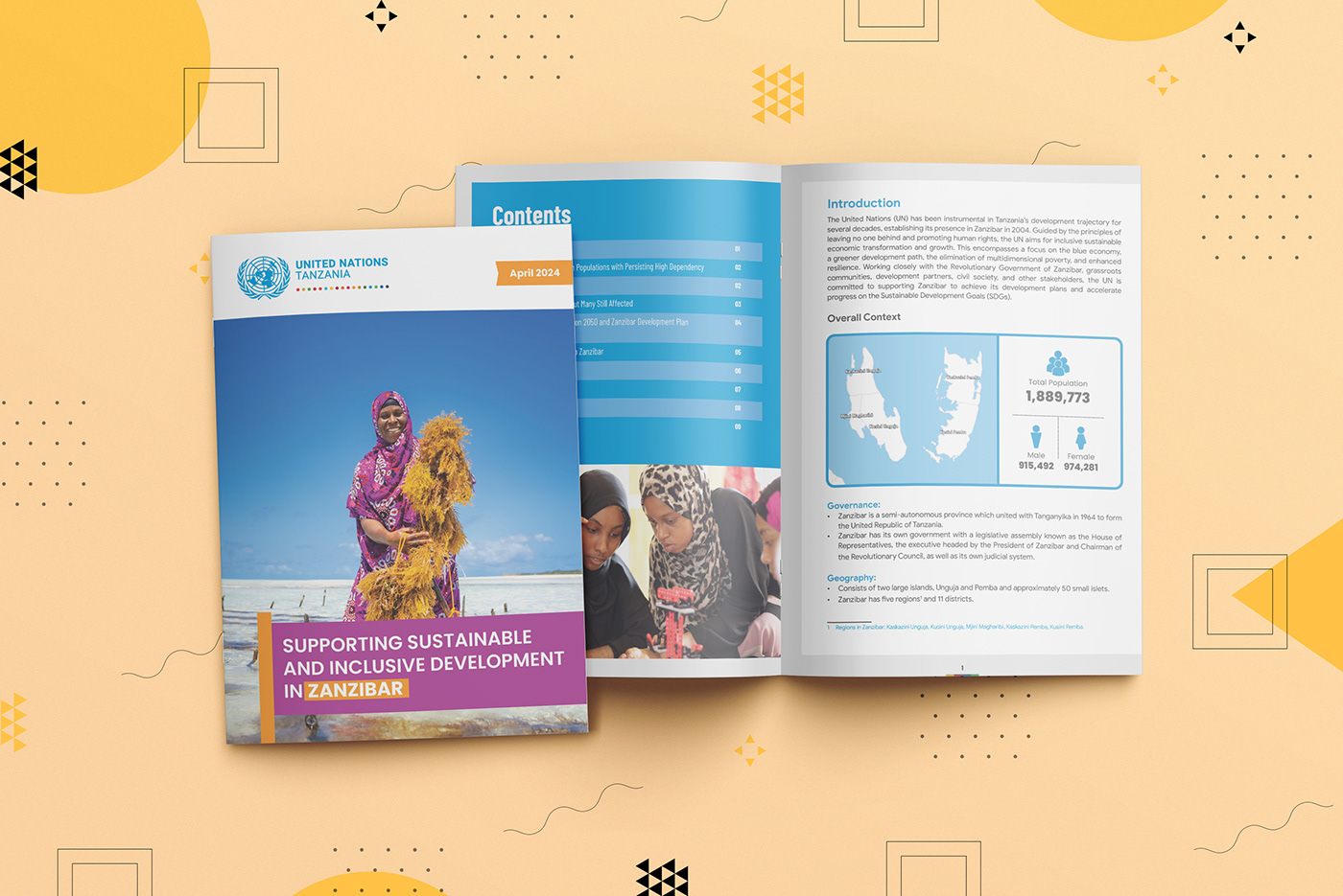 United Nations publication factsheet infographic graphic design  Documentary  development Tanzania zanzibar