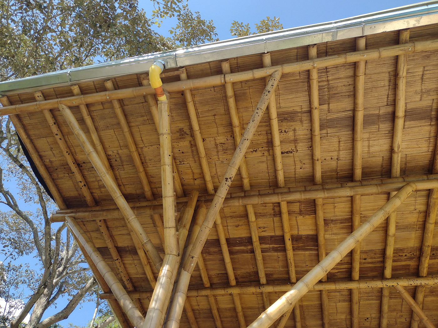 architecture arquitectura bamboo building colombia construccion design diseño guadua