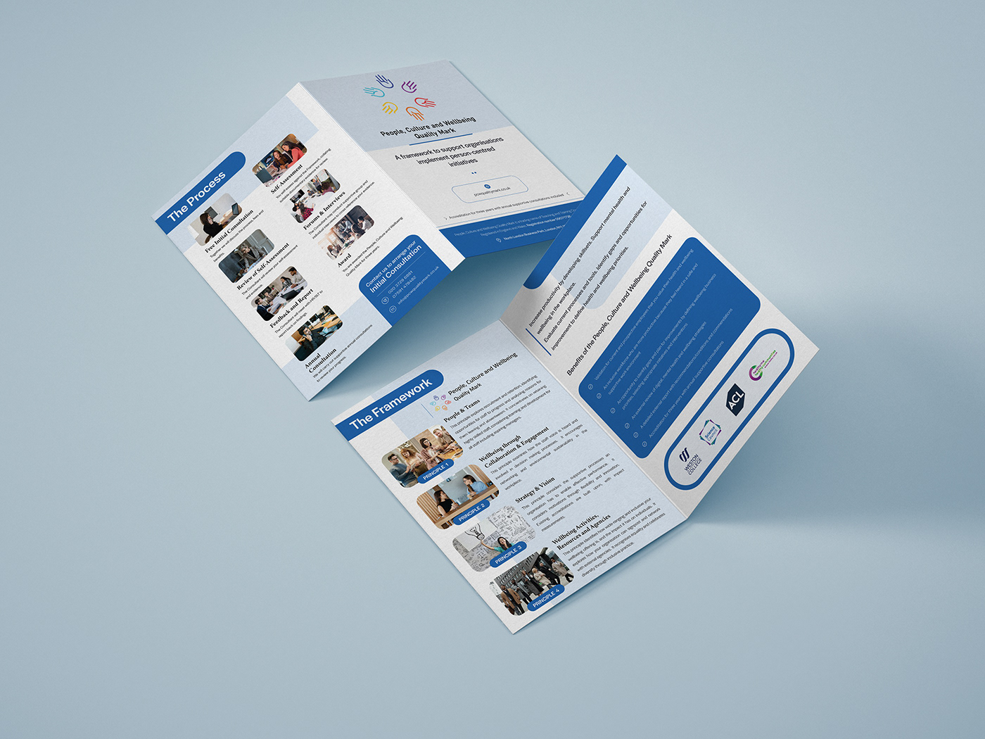 brochuredesign brochures graphic design  Advertising  brand identity