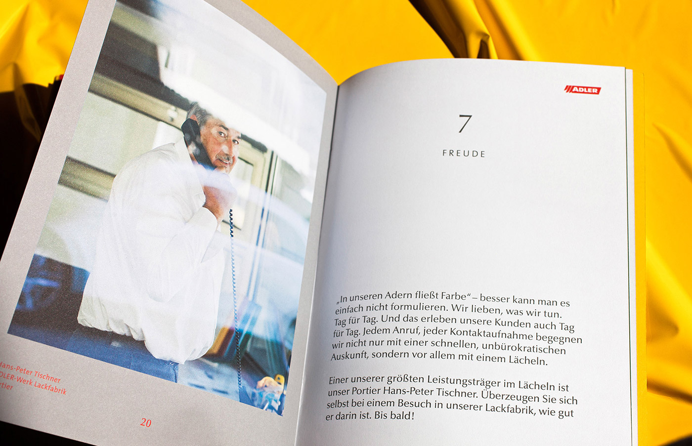 color brochure paint portraits corporate publishing graz austria