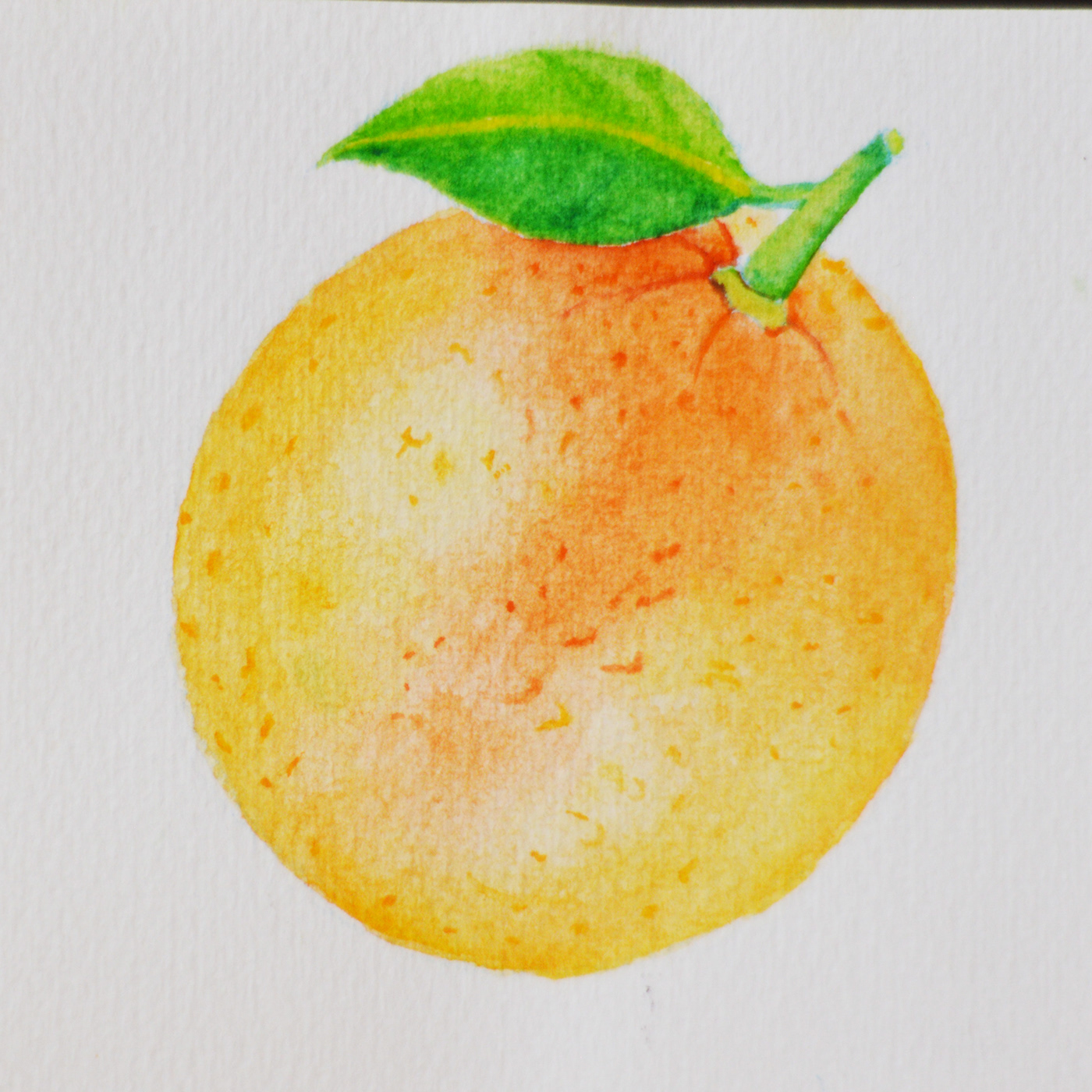 ilustracion acuarela fruta dibujo