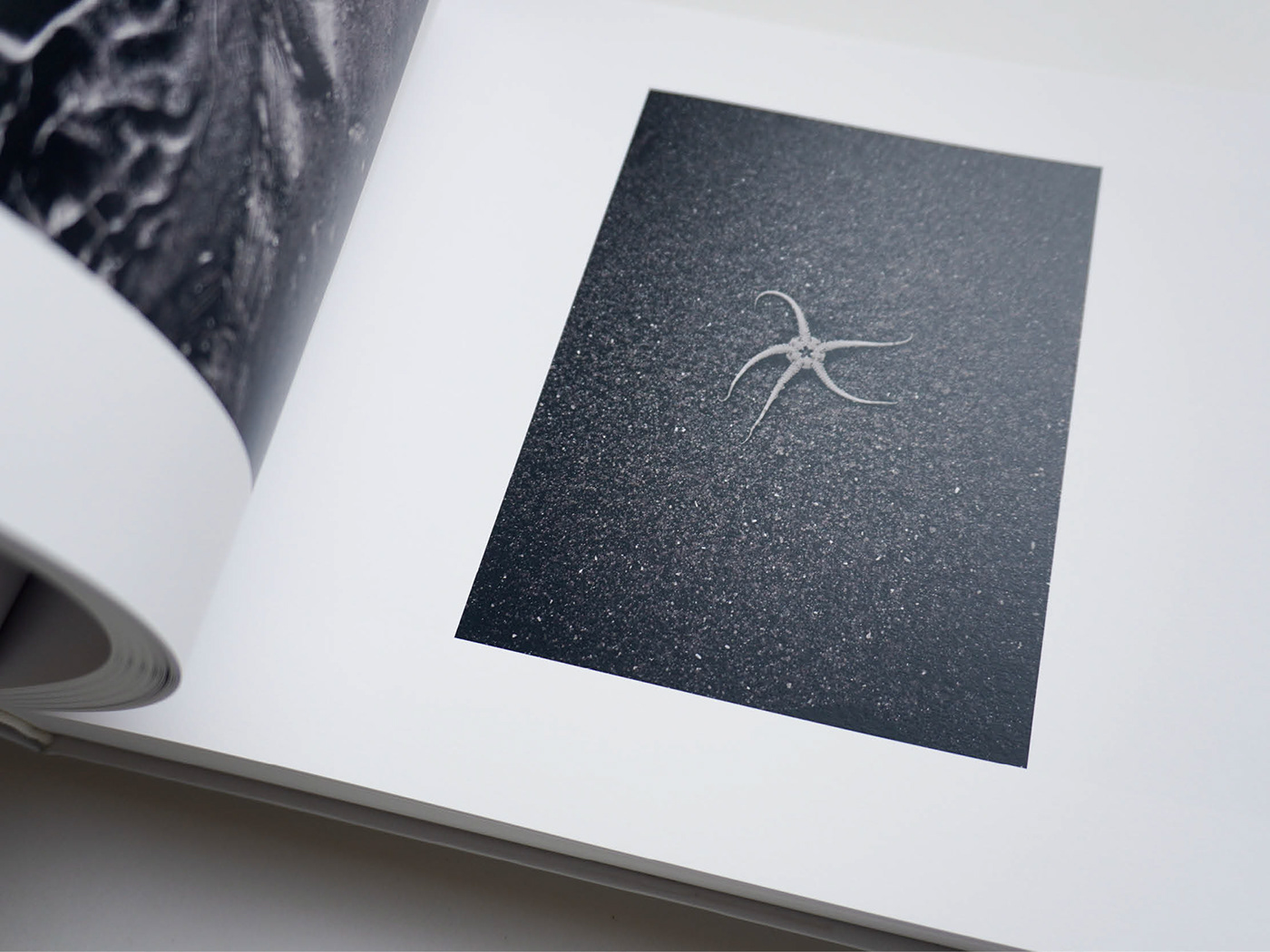 book design Graphic Designer Bookdesign bookdesigner Photography  vormgeving