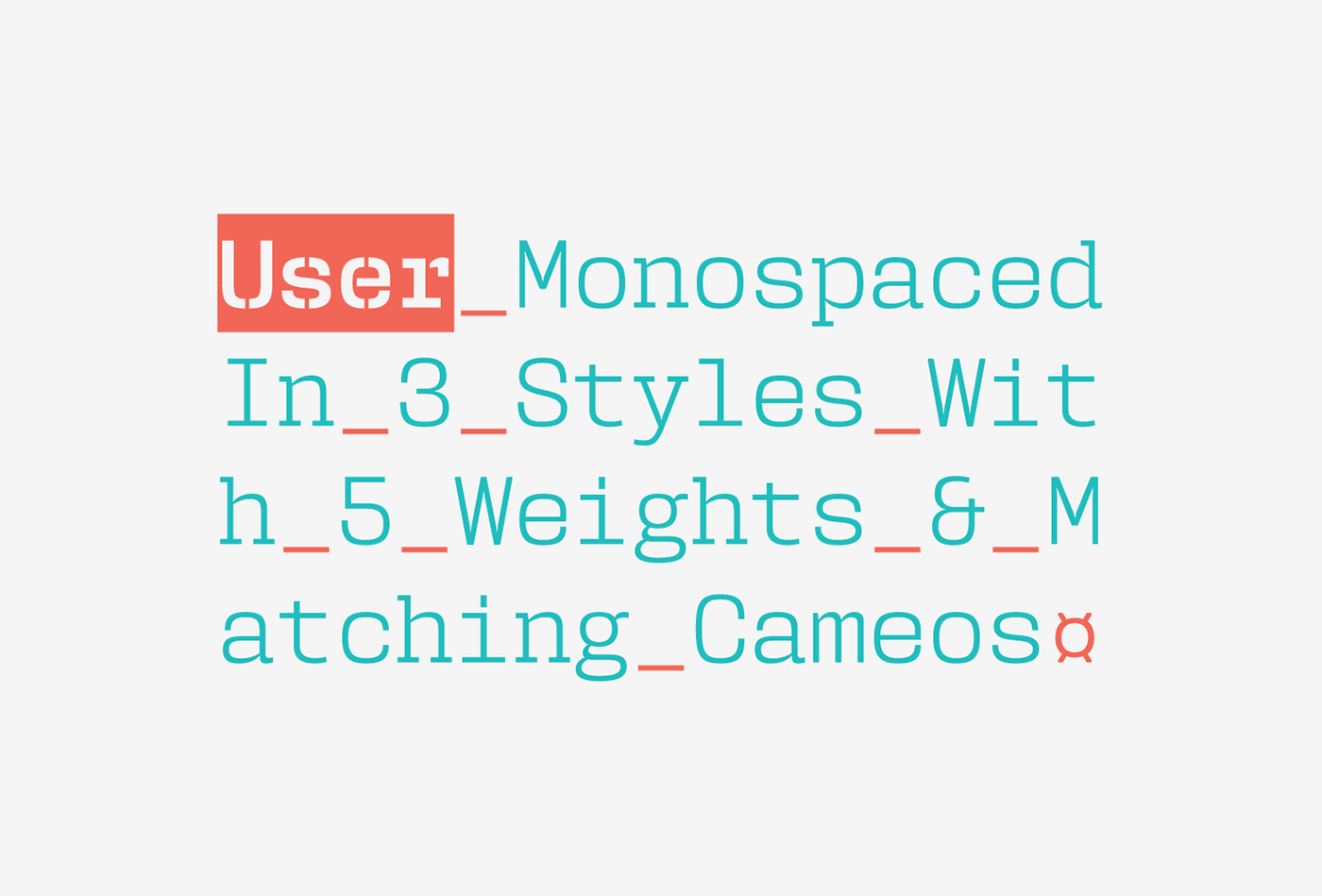monospaced Typeface font user Pedro Leal DSType