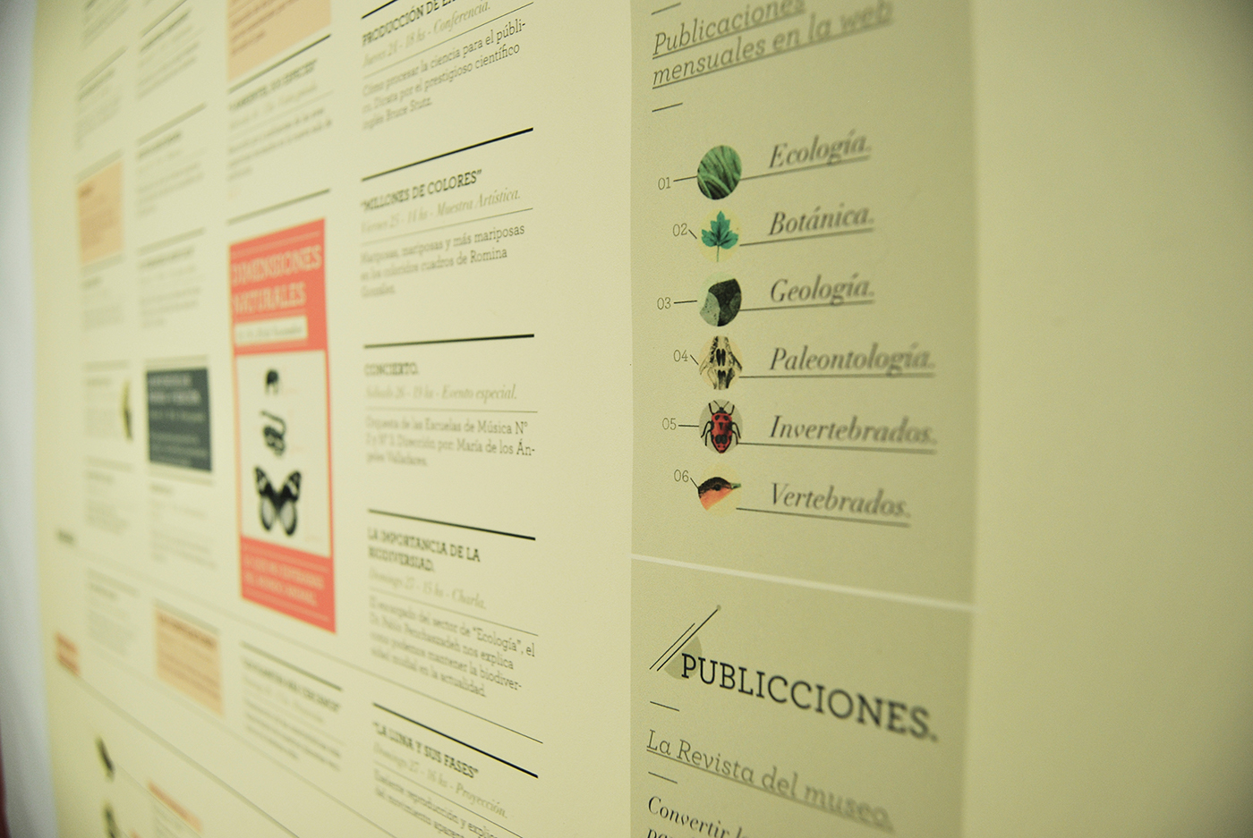 Programa visual museo MACN marca Gabriele sistema