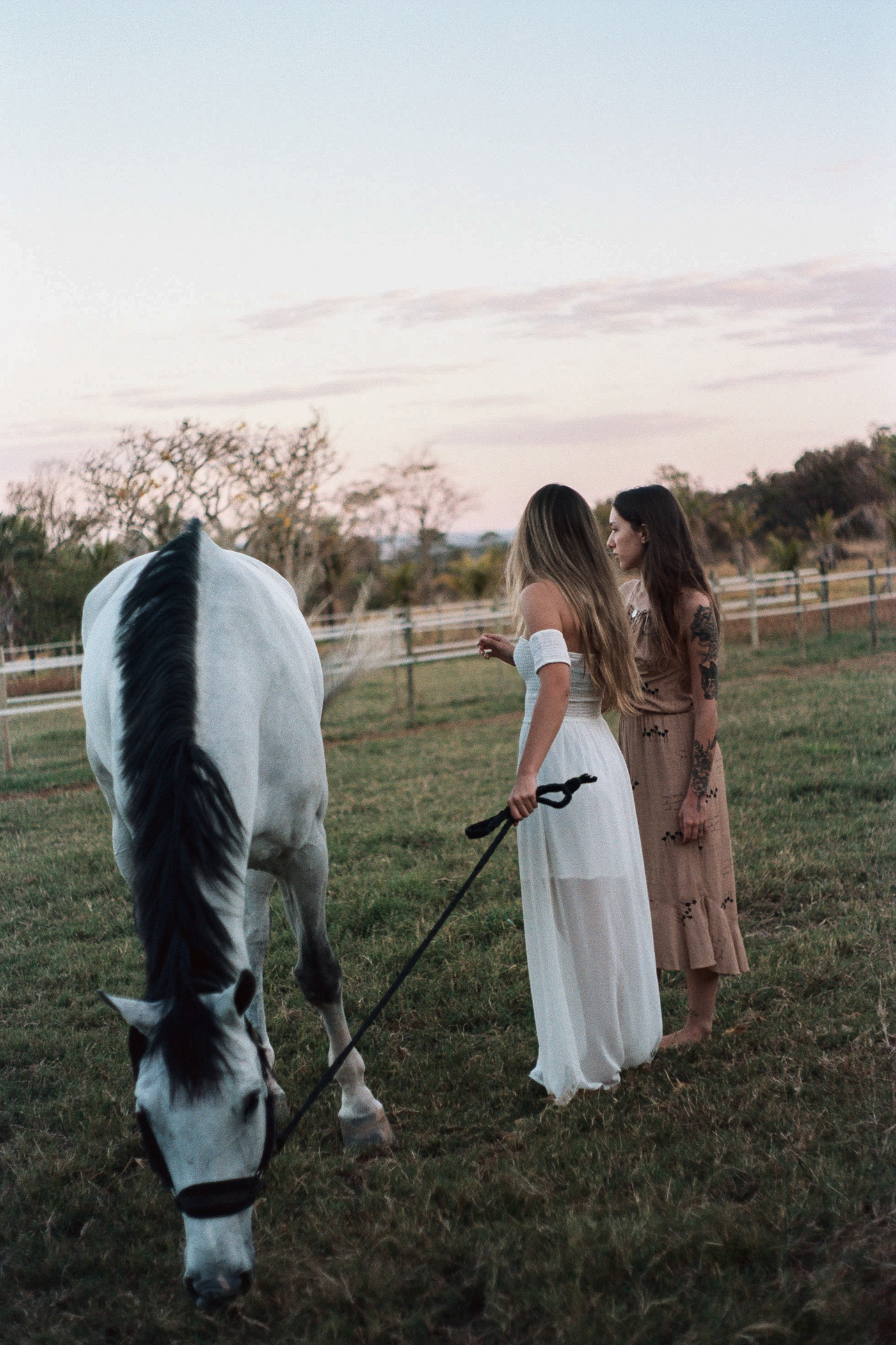 35mm analogic girl girls horse photoshoot