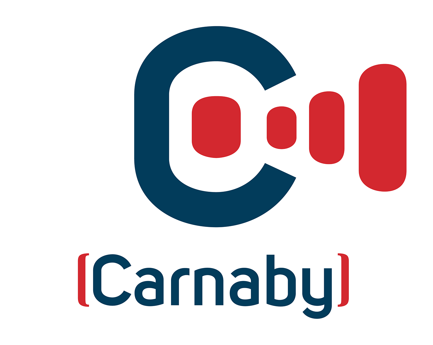 Logotype england Carnaby Street Musical Promotion mod