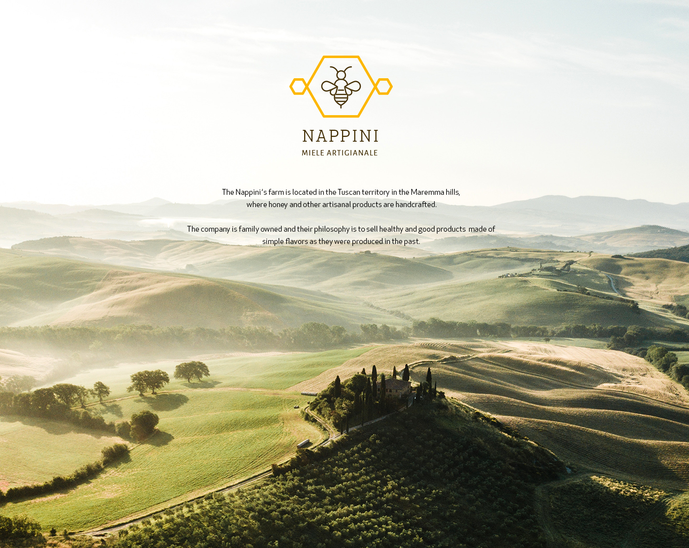 brand RESTYLING honey logo brand identity design animation  Tuscany pattern adobe