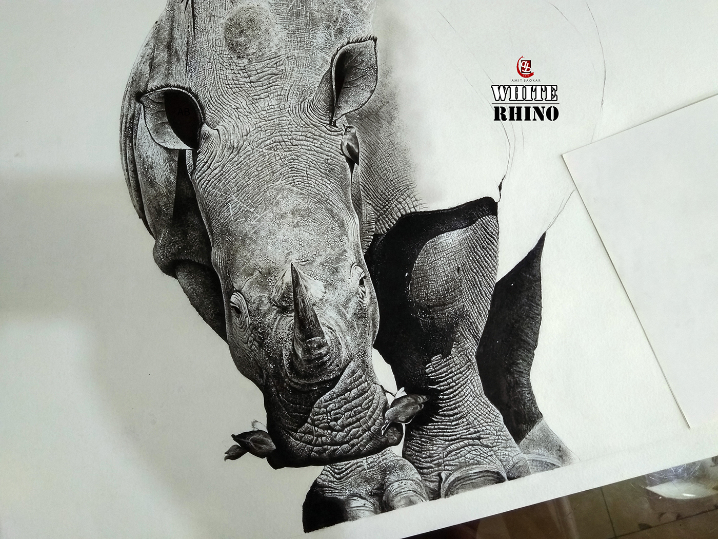 art sketch sketching Drawing  painting   wildlife wildlifeart Rhinoceros artwork White