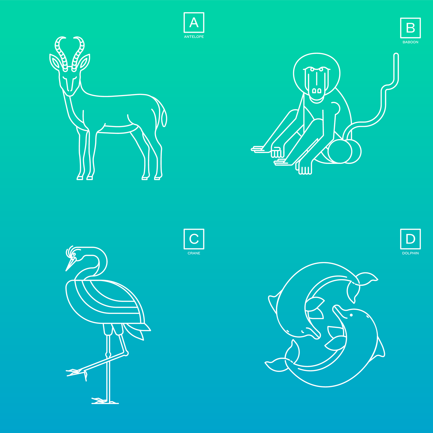 animal animalphabet alphabet design monoweight monoline digital art Design series line line art pictos adobe