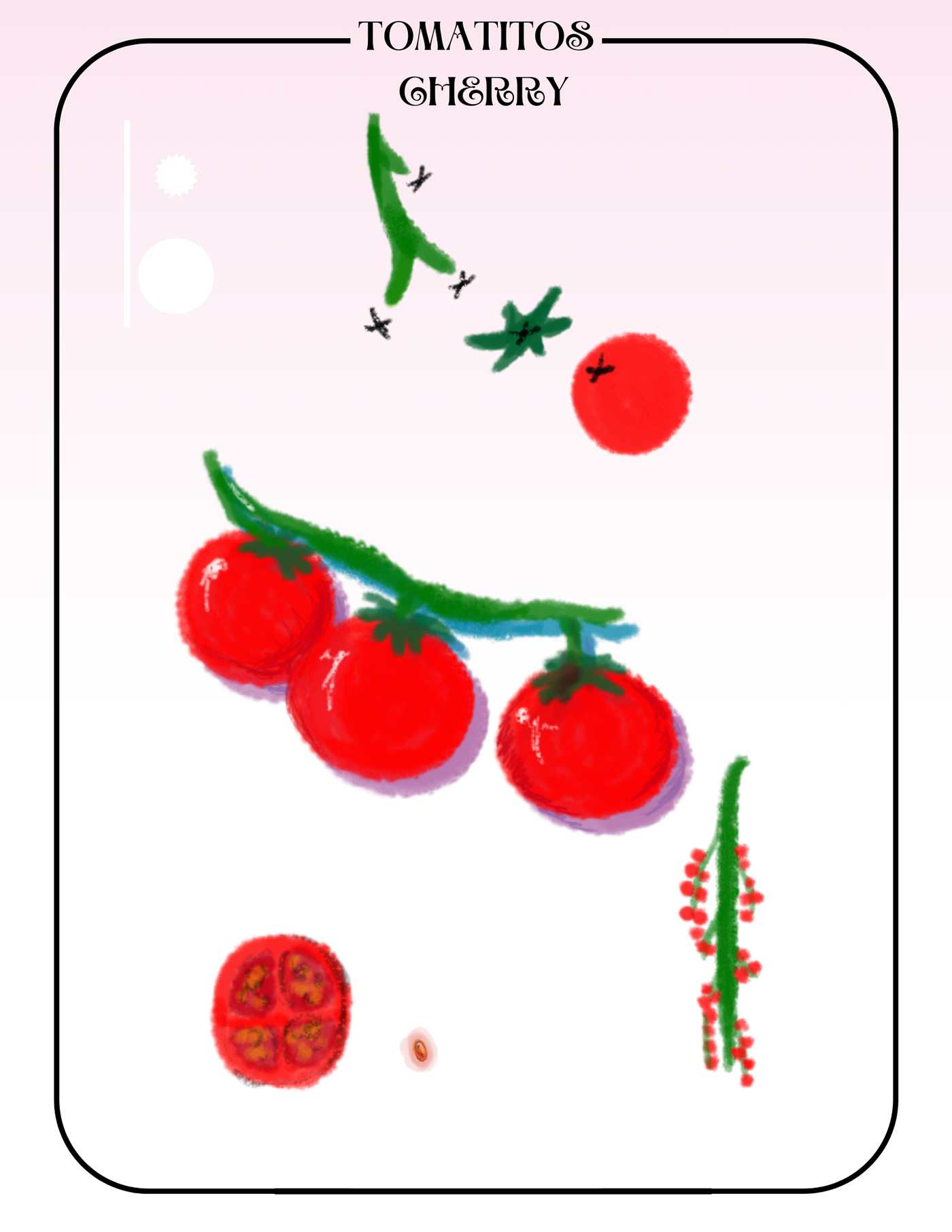 poster cherry ILLUSTRATION  print Digital Art  Drawing  flyer tomatos