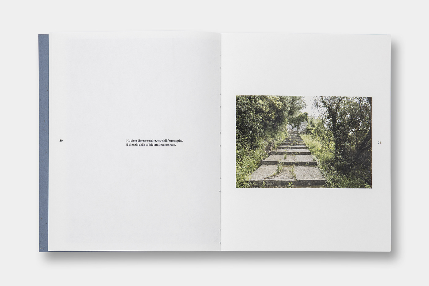 art direction  book book design design editorial design  editorial photography graphic design  InDesign Photography  print design 
