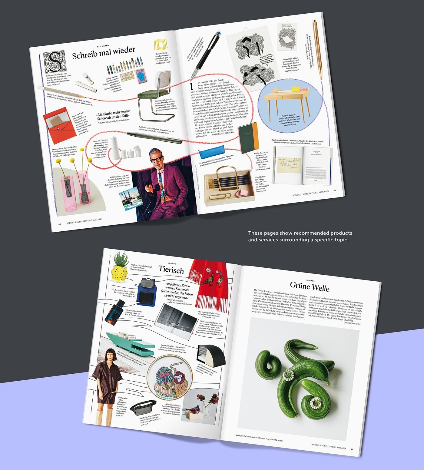editorial editorial design  Editorial Illustration Layout Layout Design layouts magazine magazine layout magazines Magzine Design