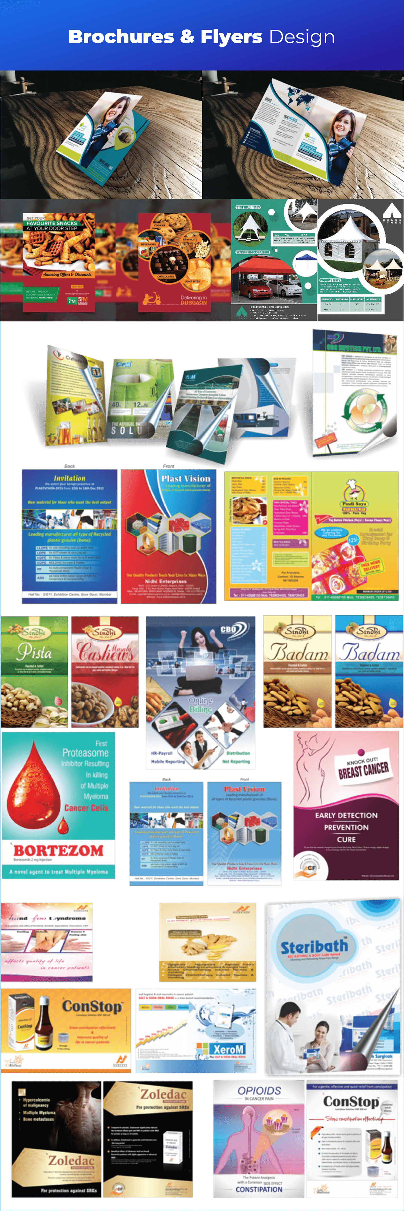 Booklet brochure brochure design company profile editorial design  flyer leaflet magazine marketing   print