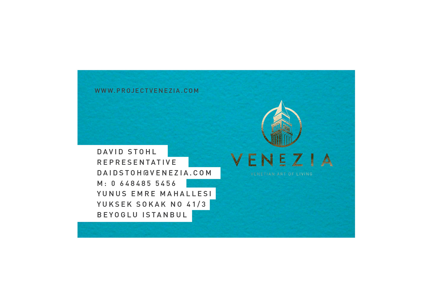 venezia corporate branding Corporate Identity Logo Design editorial design 