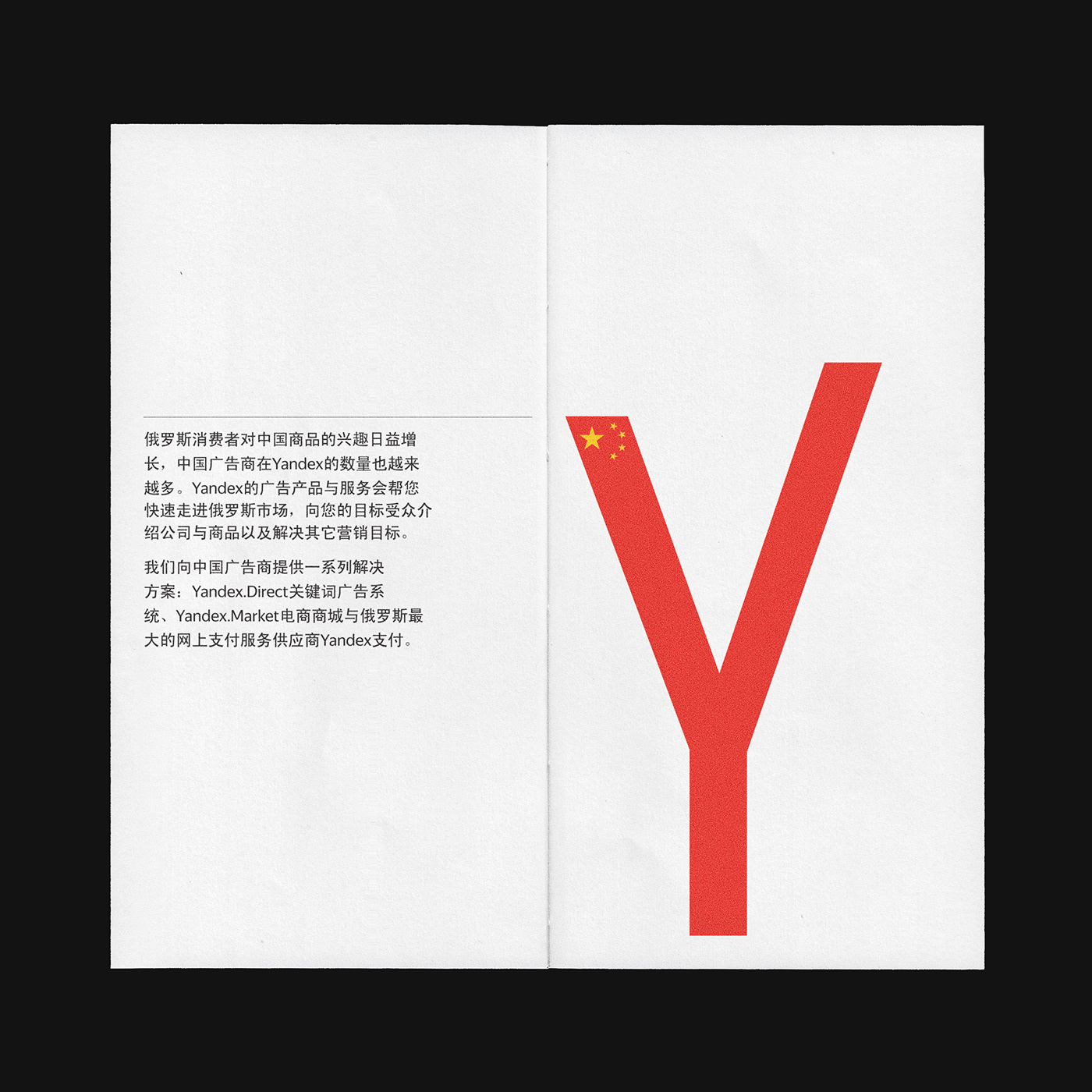 brochure chinese diagrams editorial Layout print design  typography  