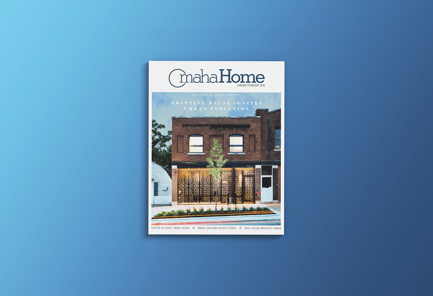 colorful cover graphic design  home magazine Omaha