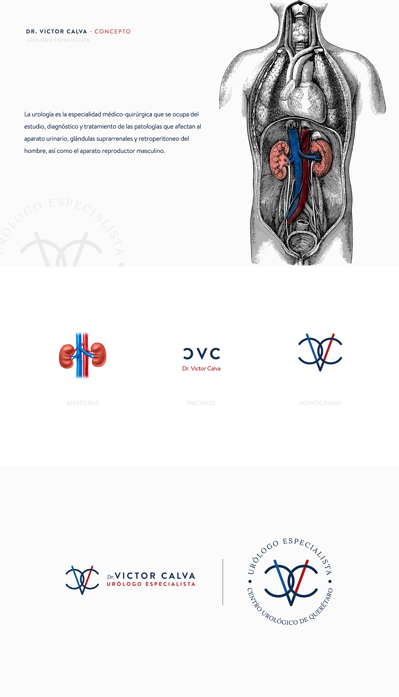 brand identity doctor Health hospital Logo Design Logotype marca medical medicine visual identity