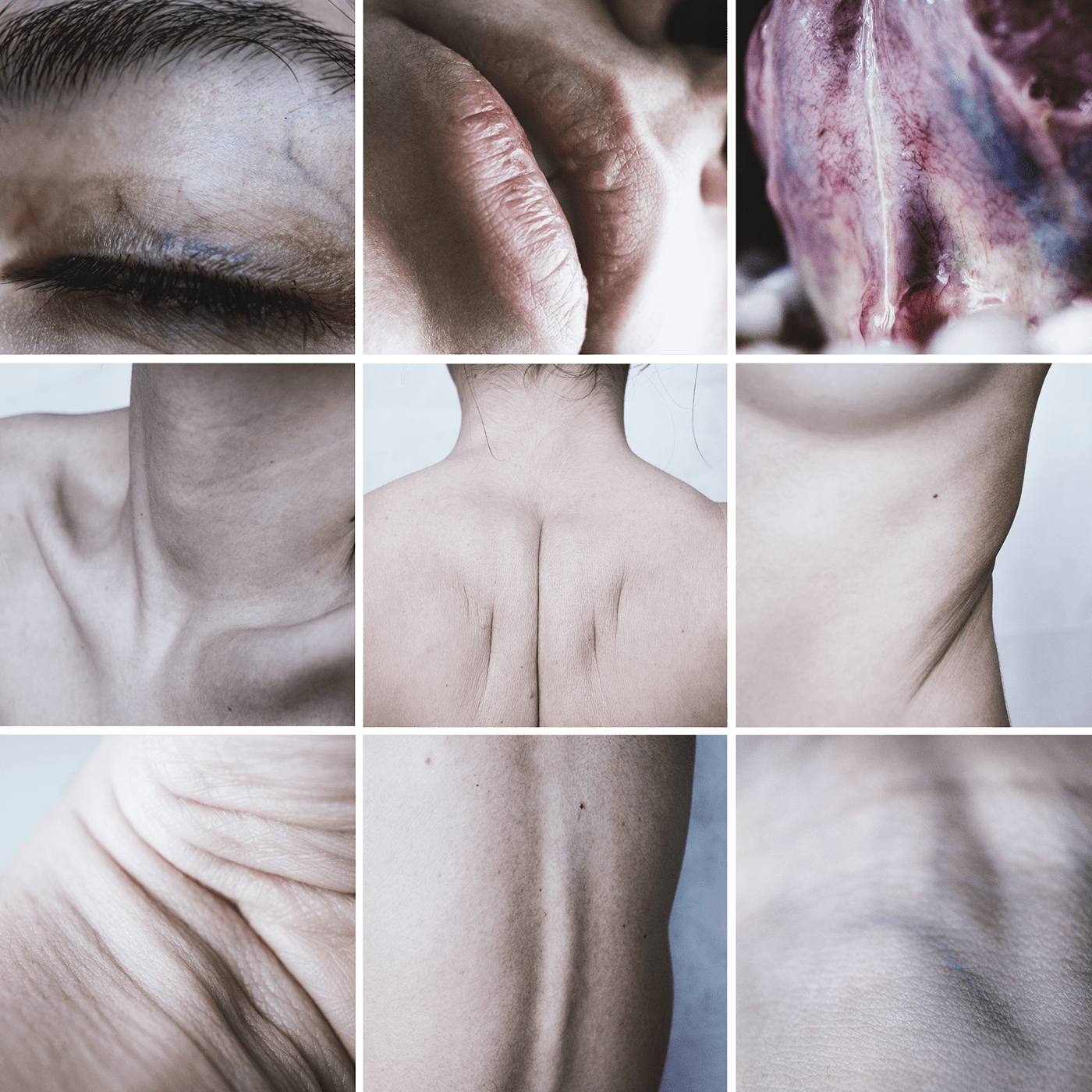 anatomy Artistic anatomy body fine art fine art photography Human Body nude nude art self portrait
