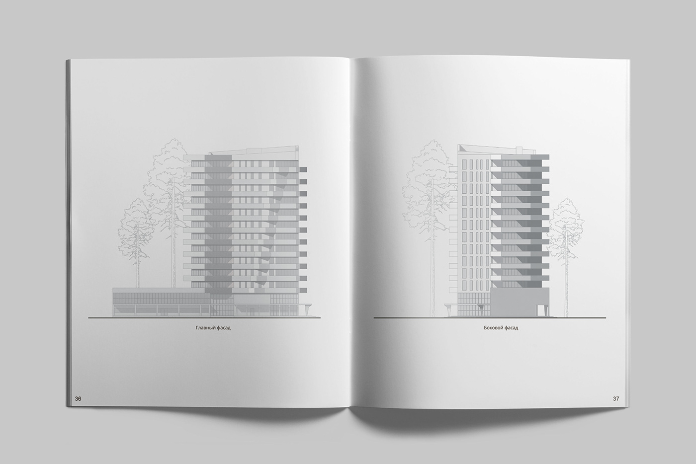Graphic Designer architecture interior design  visualization draws axonometric