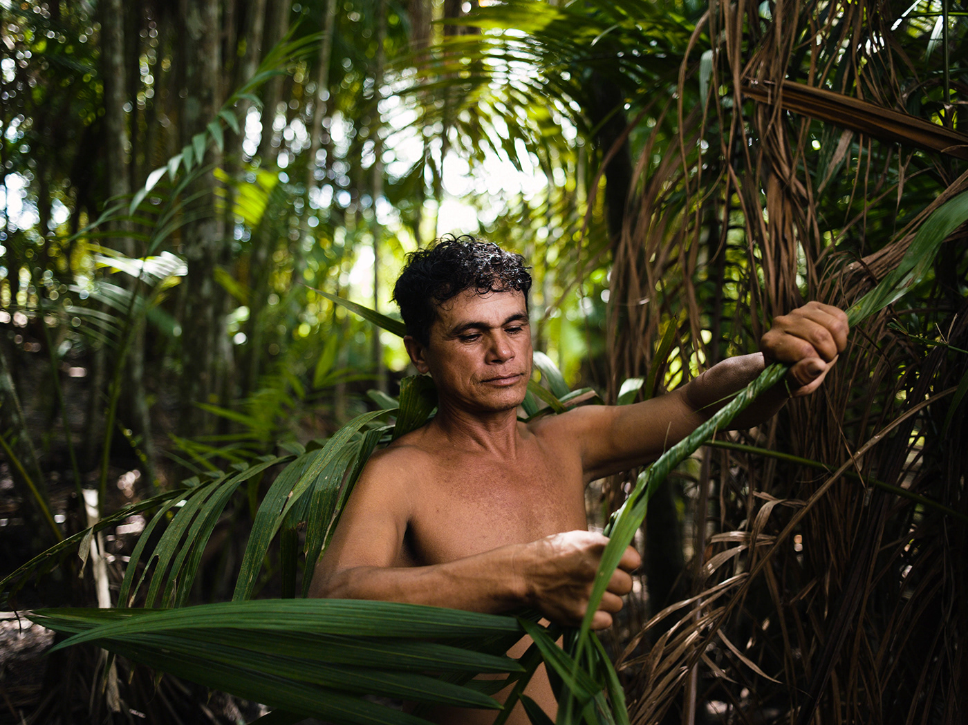 raw gold Brasil Amazon rainforest palm acai portrait Documentary  reportage