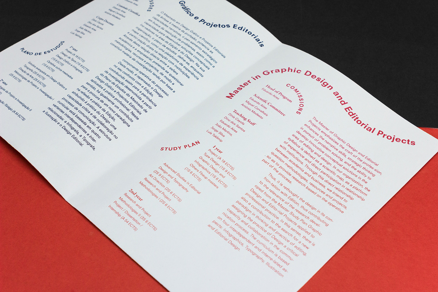 graphic flyer lines design Project red typography   light bold geometry