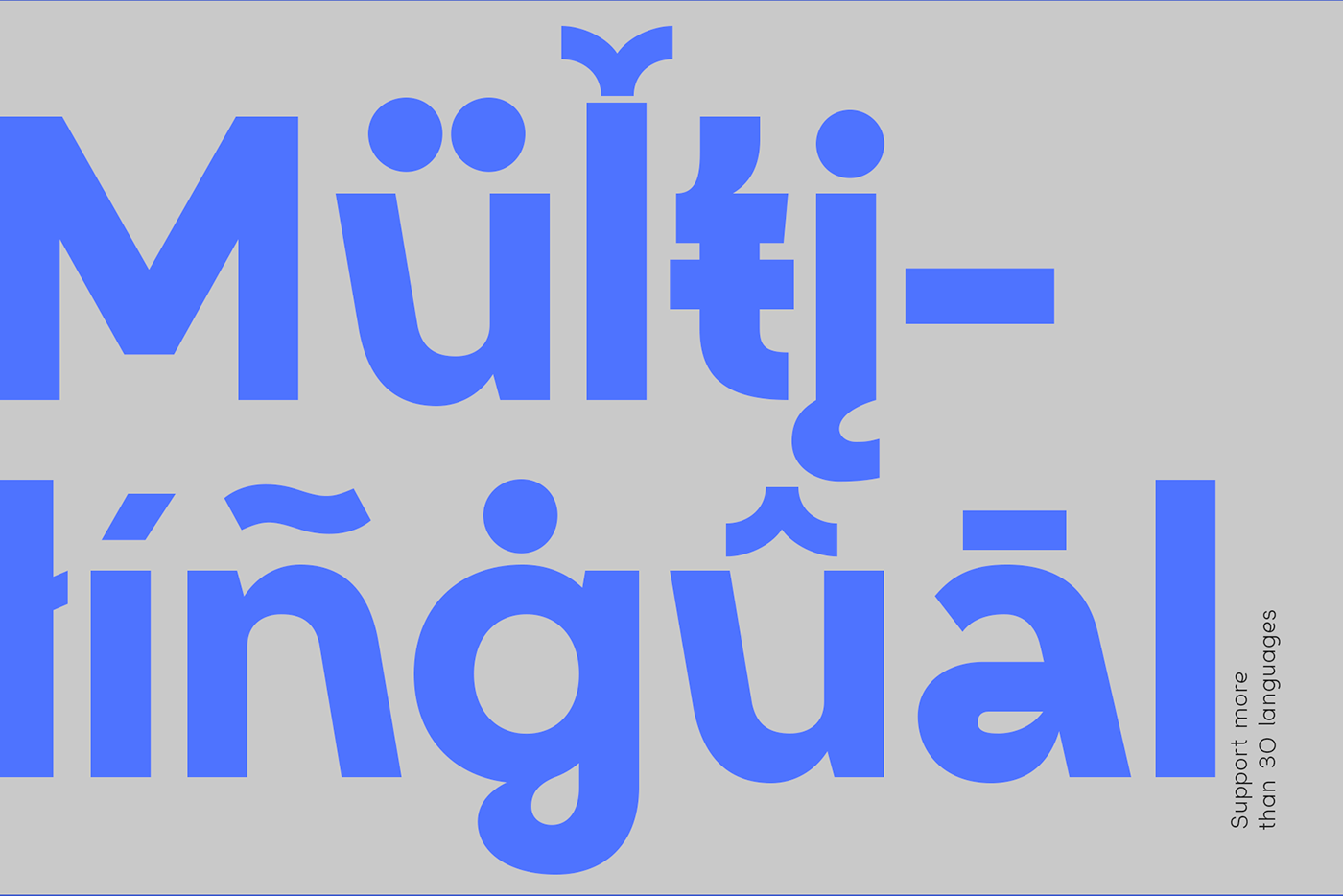 Typeface typography   Display sans letters branding  font type diacritics modern