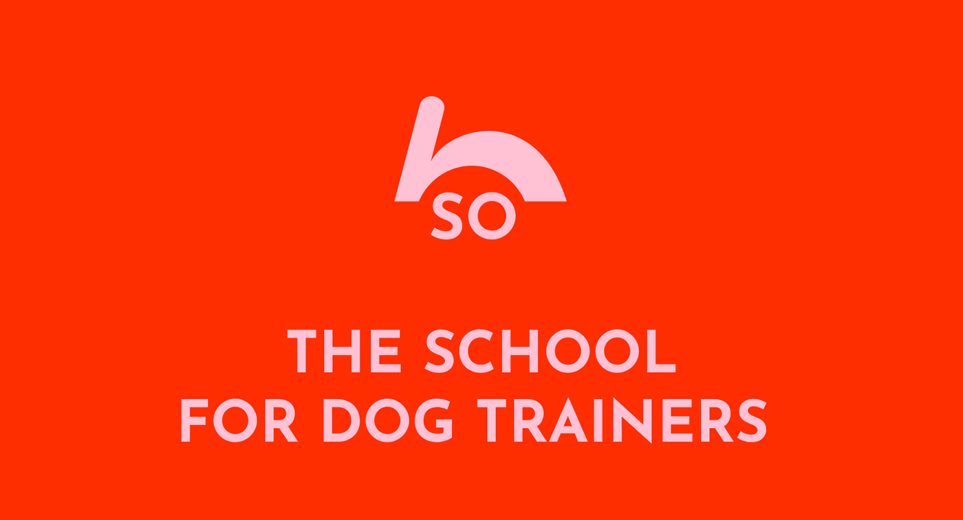 color design dog Education Pet school typography   vector Web Design  Website