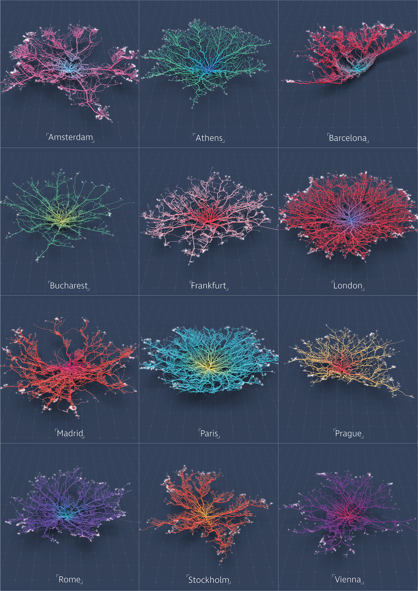 Data animation  dataviz maps Cities coral design visualisation conceptual Analysis