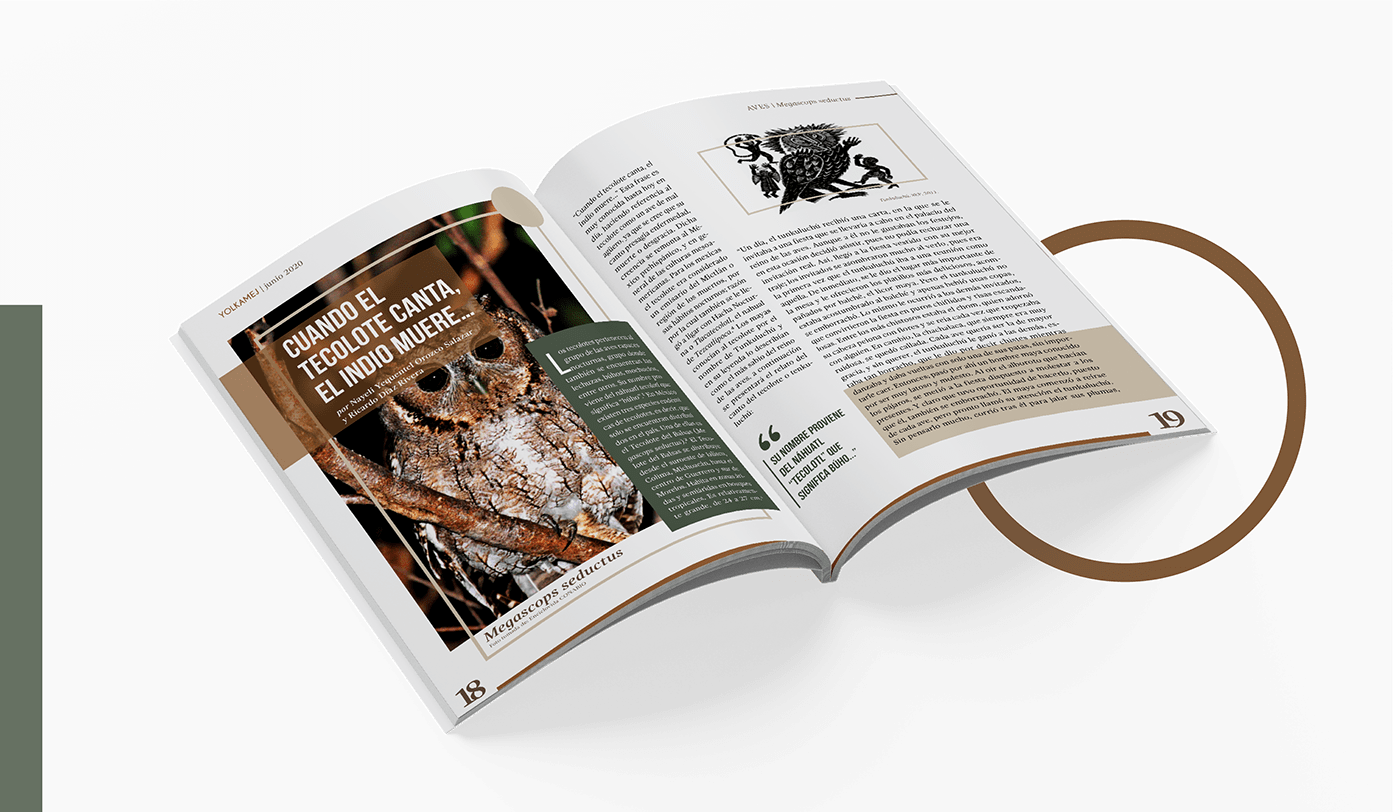 animals design diseño editorial InDesign magazine mexico revista tipografia typography  