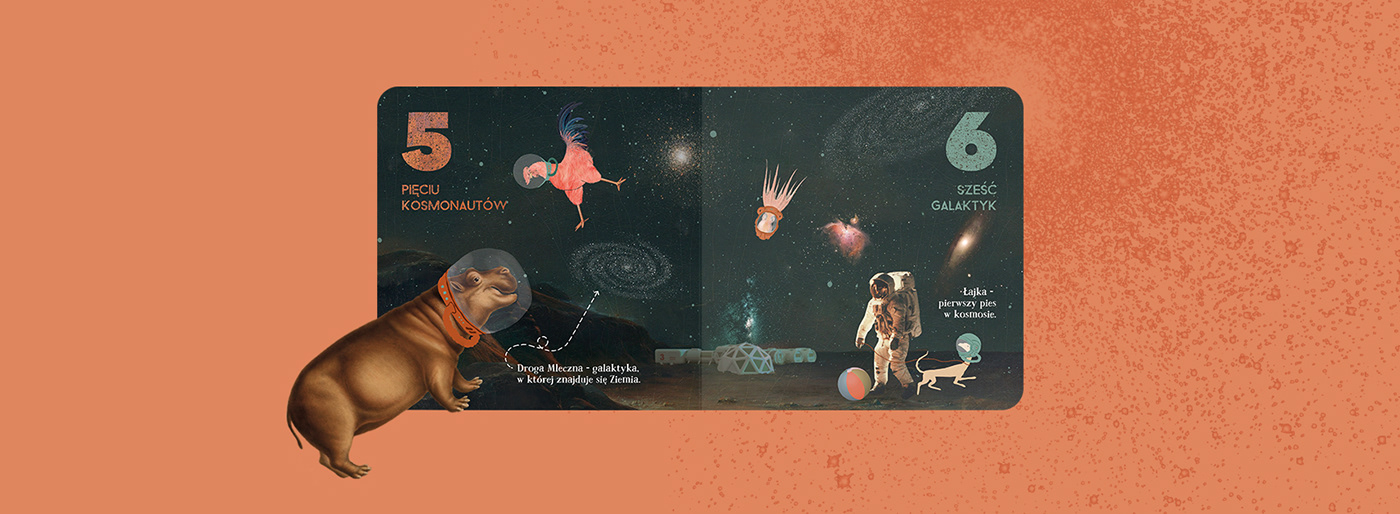 book cover book design children's book children's illustration collage collage art cosmos ILLUSTRATION  moon planet