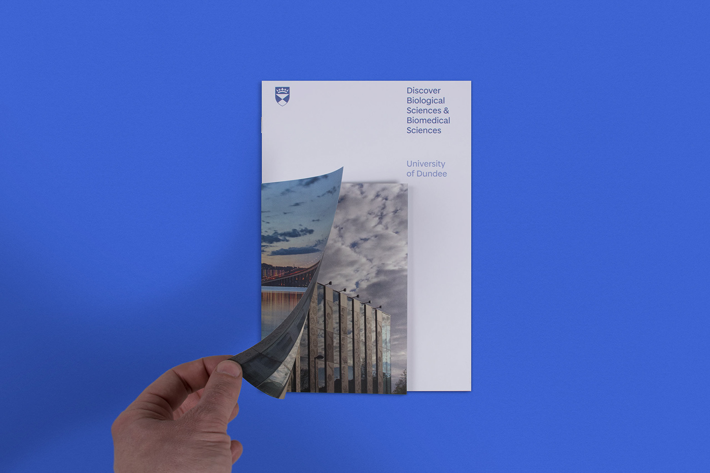 Dundee University University rebrand typography   layered design layers blue Student design Branding design School ReBrand  posters