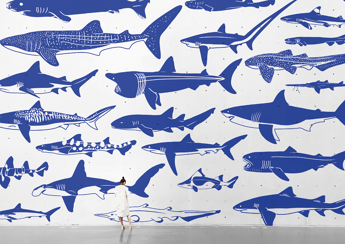 blue brand guidelines brand identity branding  fish Ocean samos sealife shark sharks
