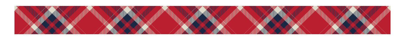 fabric pattern plaid shirt swatch stripe check trendy textile print