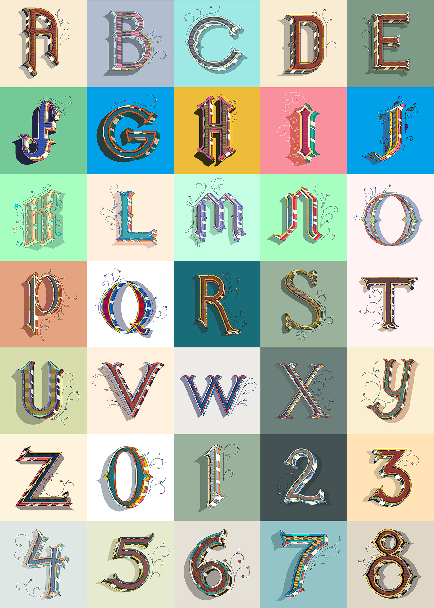 typography   font lettering design vector ILLUSTRATION  animation  art vintage