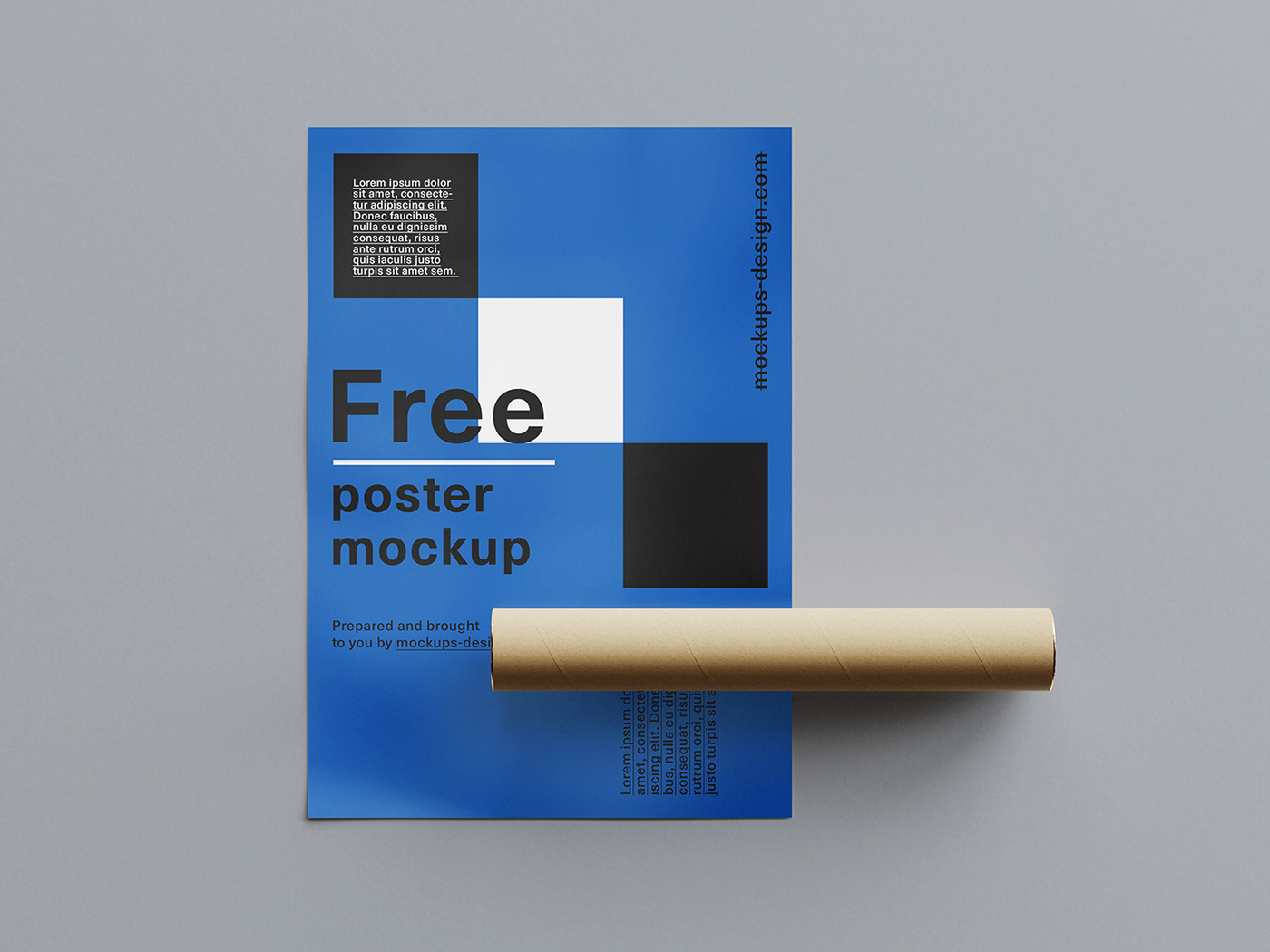 a2 b2 download free Mockup poster psd rolled template