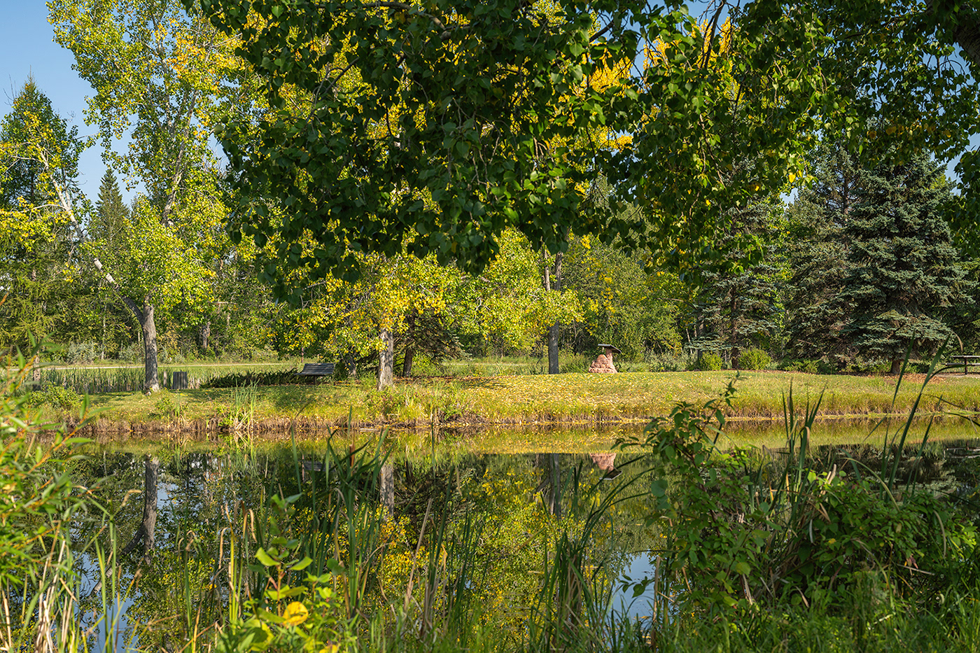Red Deer alberta Fall autumn Landscape Photography  Bower Ponds