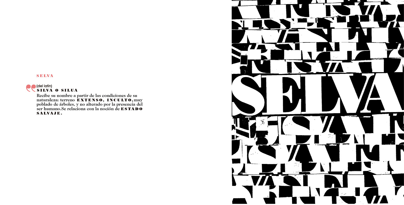 aficheta brochure collage diseñografico folleto juanaibarbourou poesia postales señalador tipografia