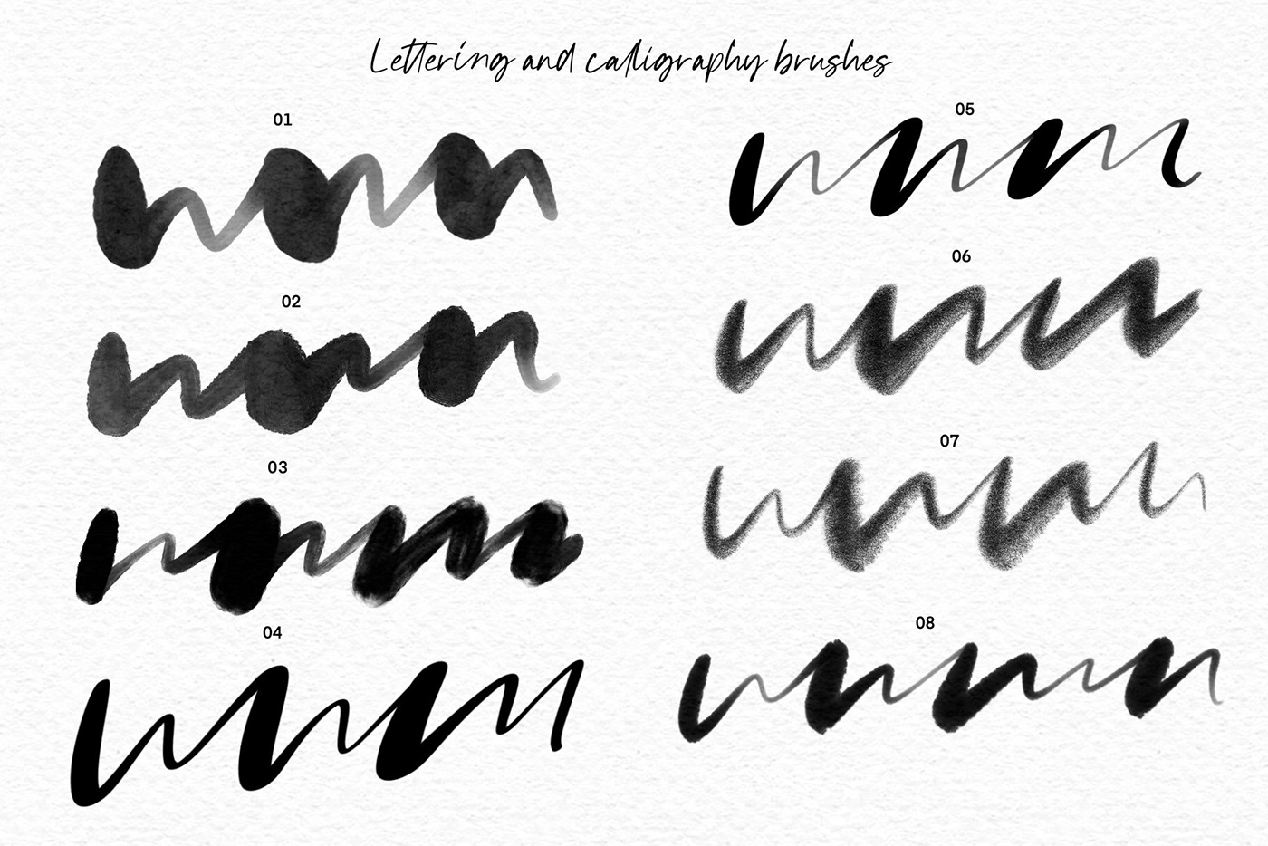 brand brand identity font handwriting identity lettering Script typography   visual visual identity