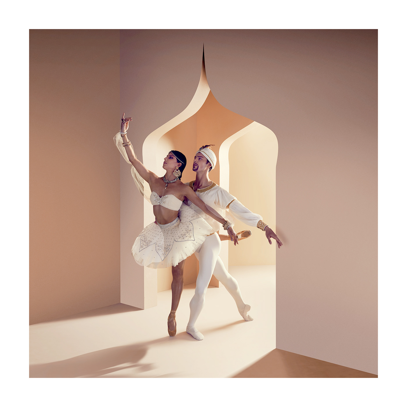 ballet carmen cinderella DANCE   la bayadere photoshop pointe retouching  Theatre tutu