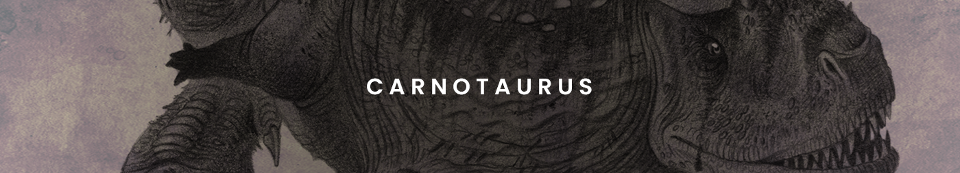 black and white carnotaurus Dinosaur Drawing  graphite monochrome Nature pencil Realism sketch
