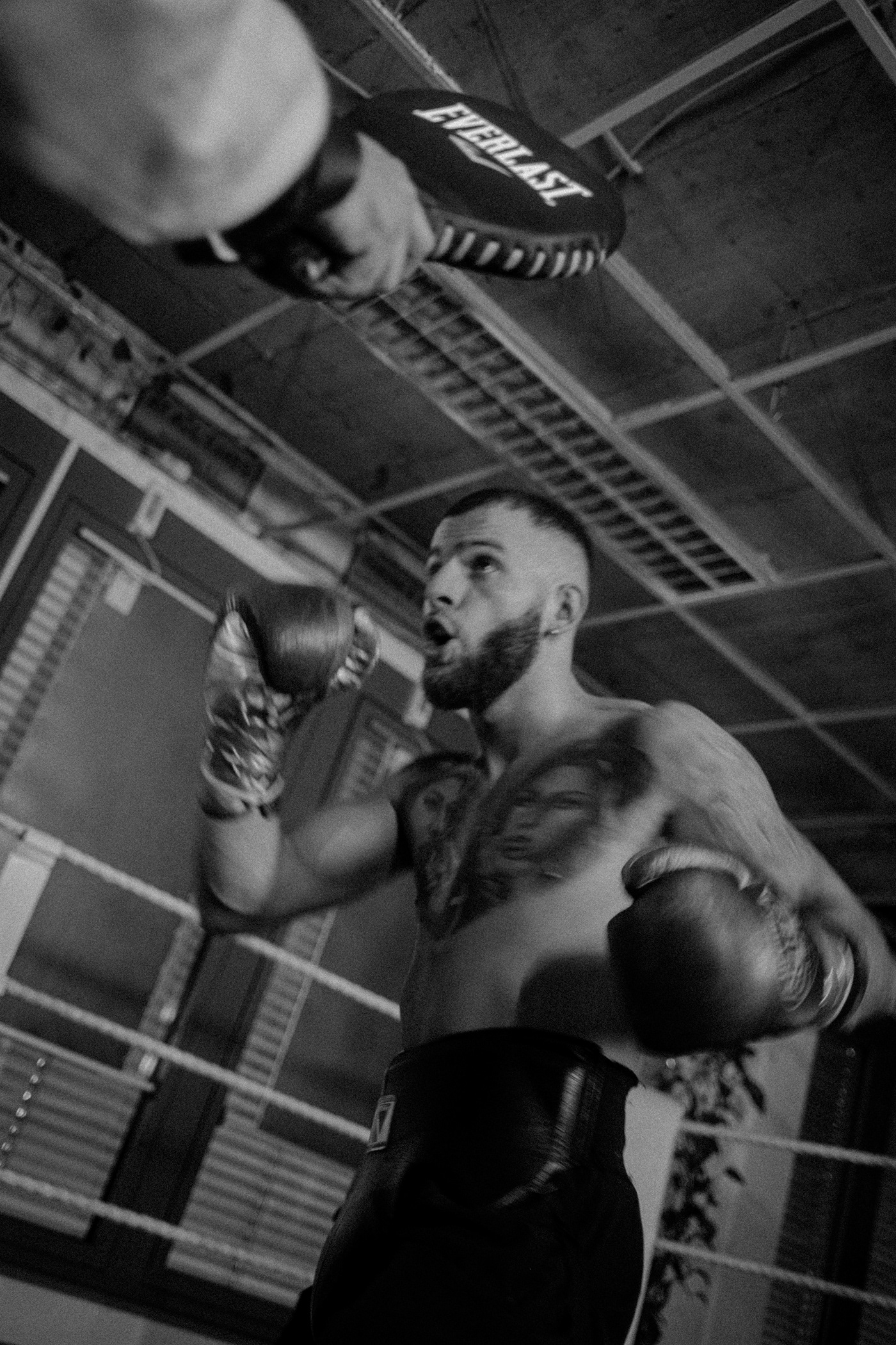box training Boxer Boxing Photography  photos training videography