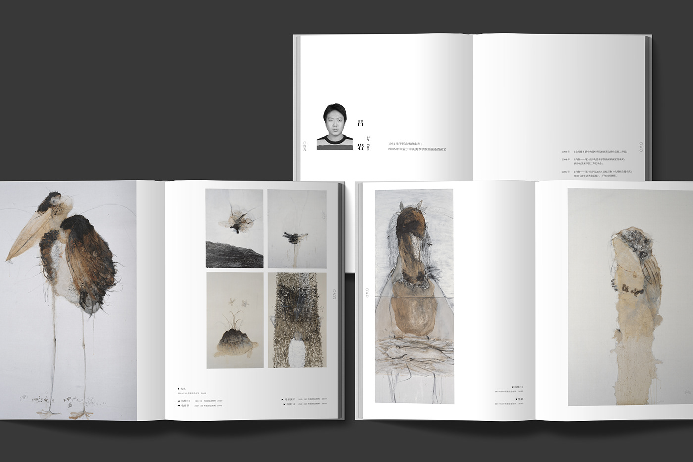 editorial design  Album design Exhibition Design  contemporary art Chinese art book design Minimalism white space typography   art book