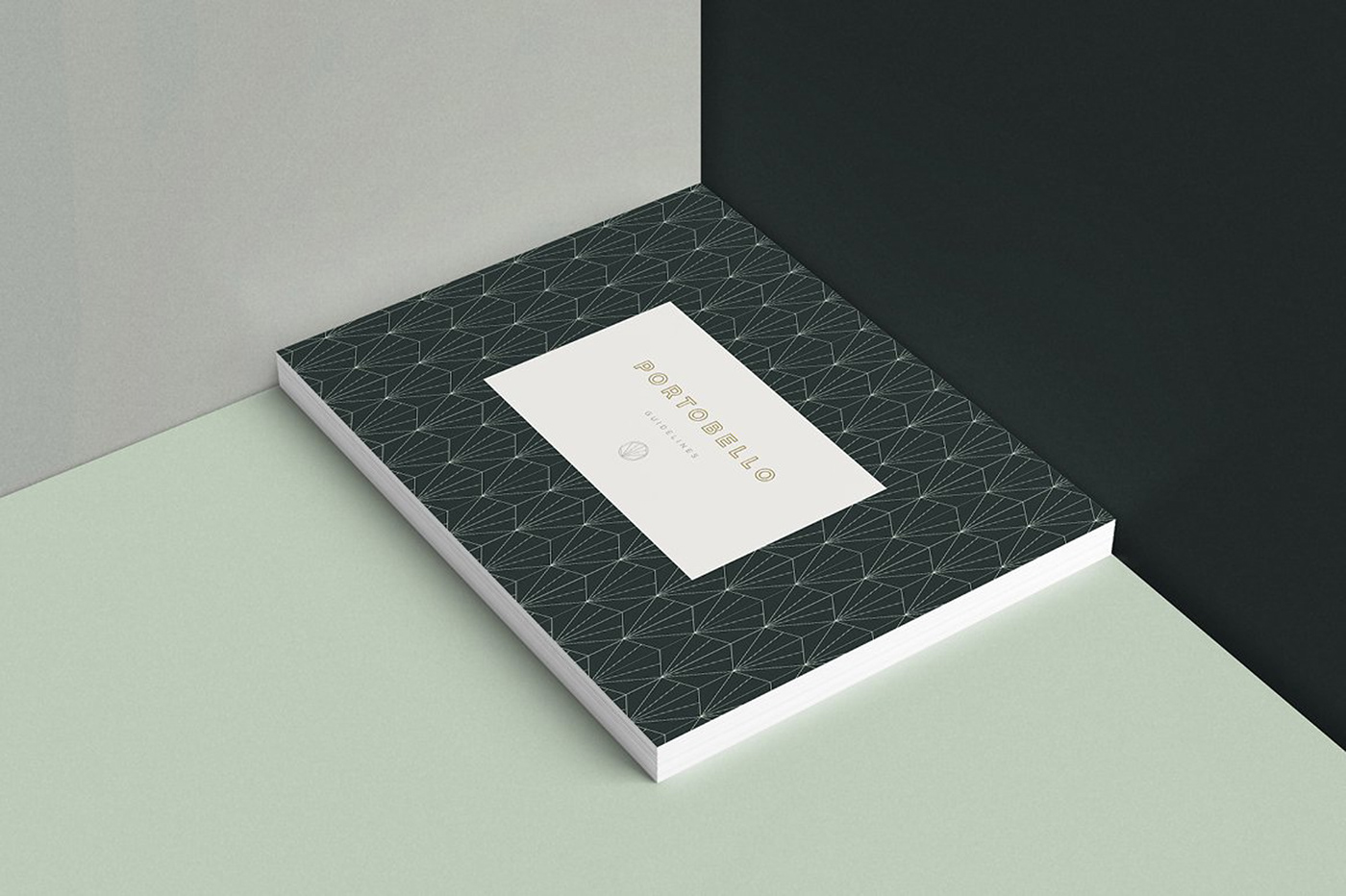 brand book brand guidilines brand manual branding  brochure clean company creative professional design