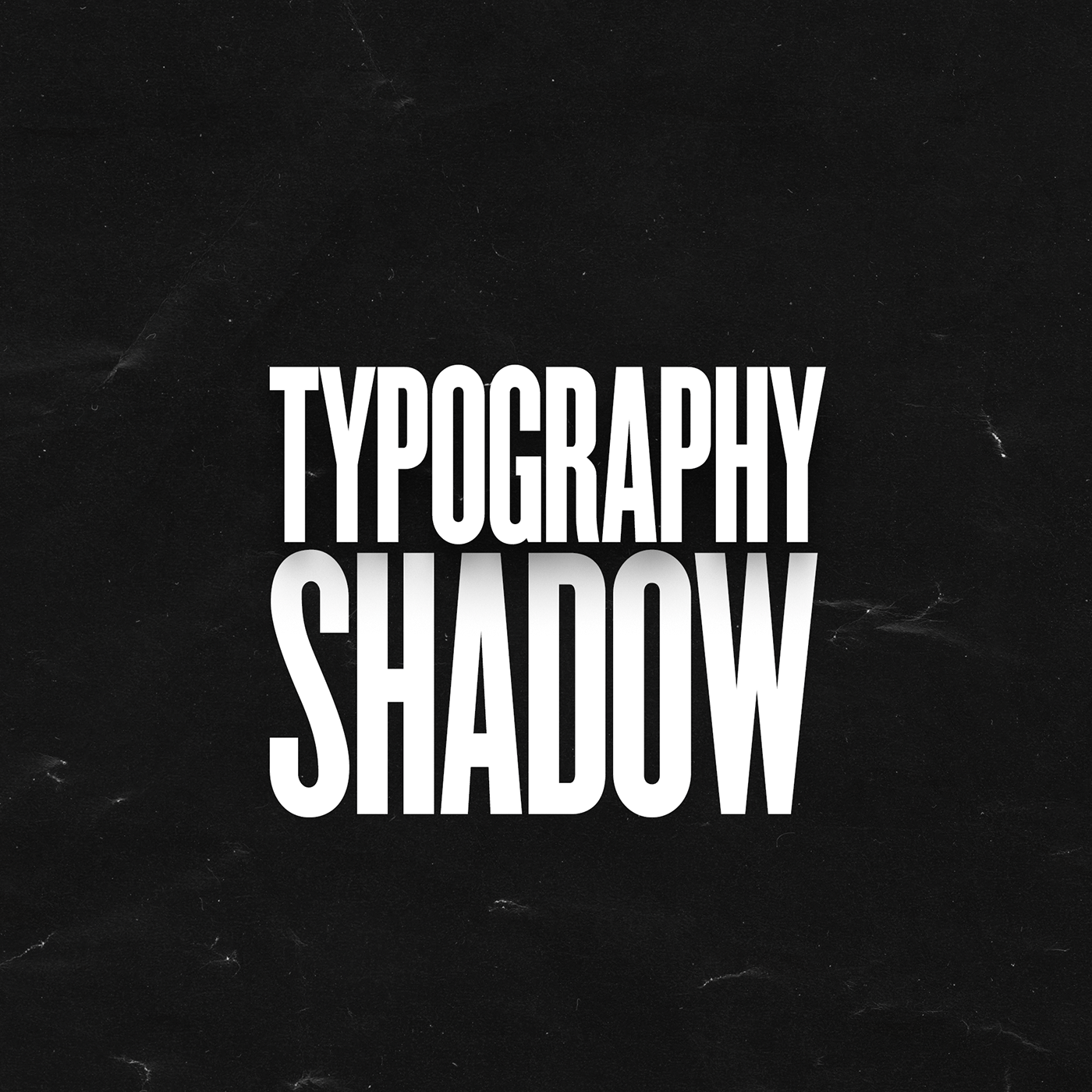 identity Illustrator Logo Design Logotype text typography  