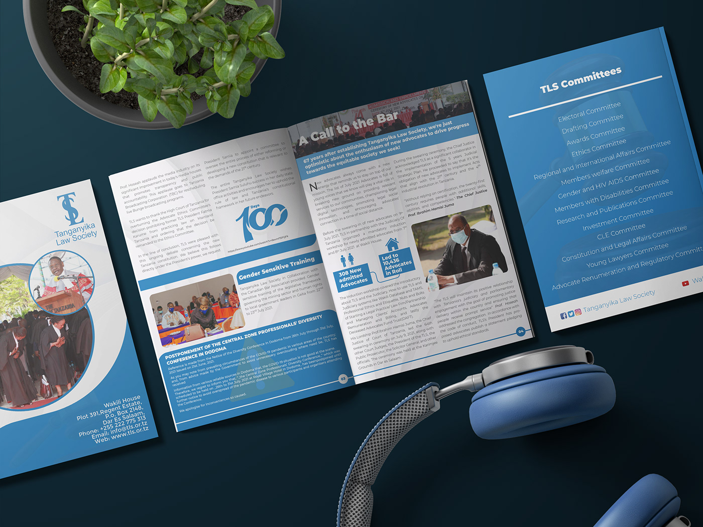 ANNUAL Annual Report Design brand identity corporate integrated newsletter Newsletter Design report design visual