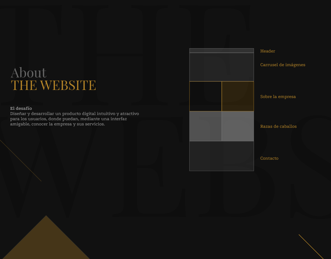 caballos desarrollo web Diseño web haras polo sitio web web site