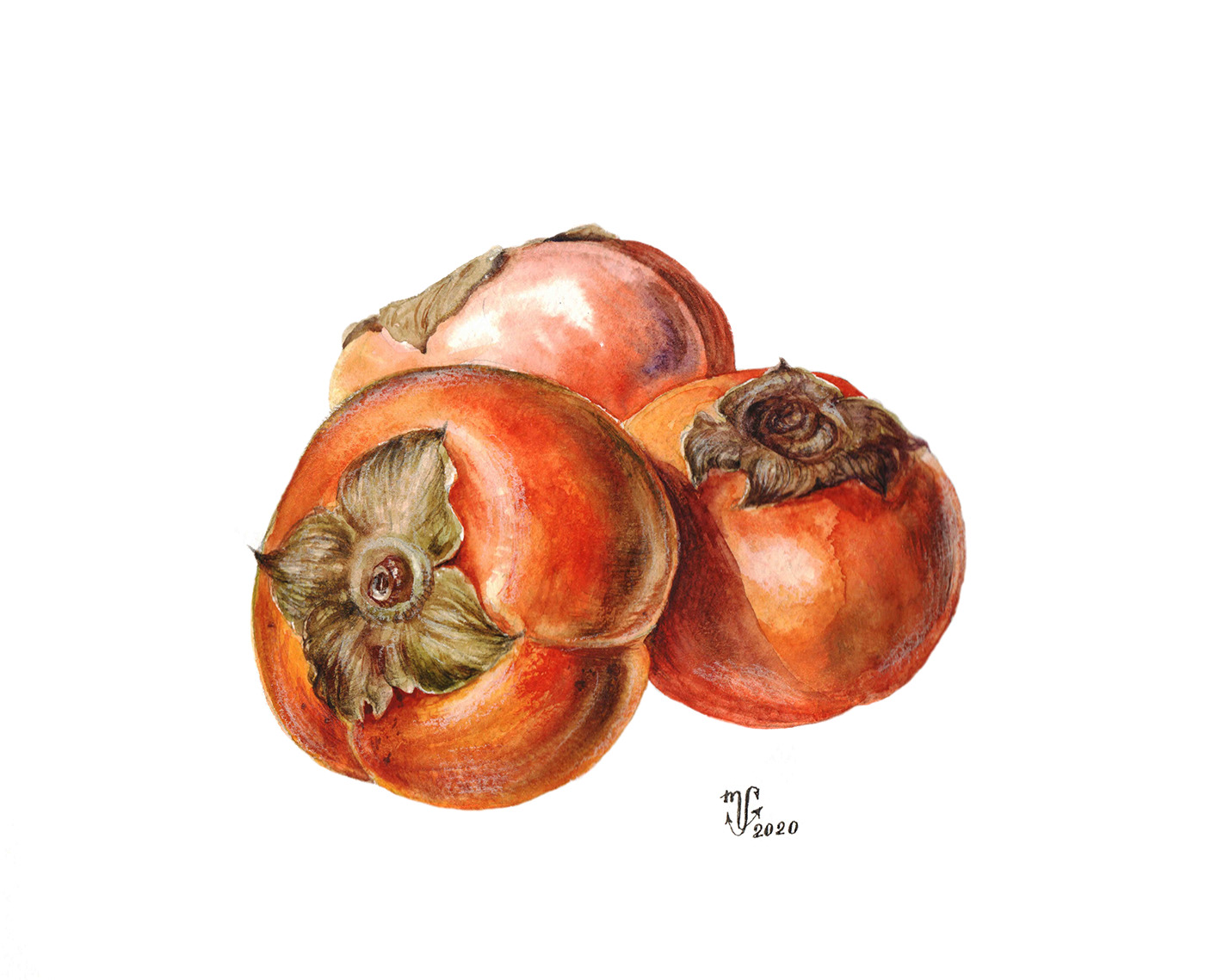 Persimmons. Watercolor on paper 21 x 29 cv, 2020