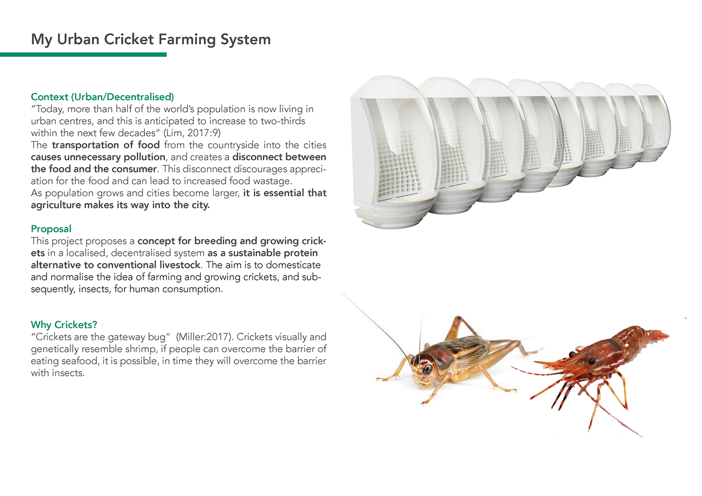 product design  Sustainable farming urban farm Entomophagy Edible Insects